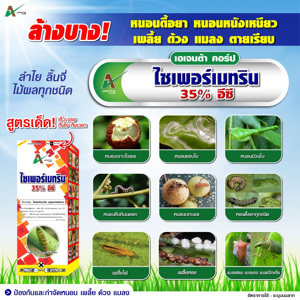 ไซเพอร์เมทริน เอเจนต้า คอร์ป ยาน๊อค สารป้องกันกำจัดแมลง กำจัดเพลี้ย กำจัดไร กำจัดหนอน แมลงปีกแข็ง ด้วง (1 ลิตร) - รูปที่ 2