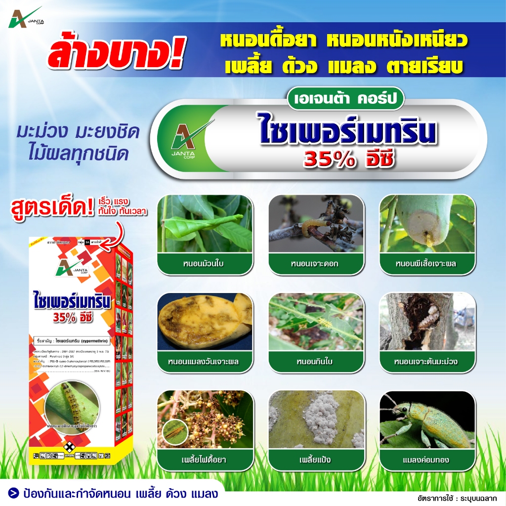 ไซเพอร์เมทริน เอเจนต้า คอร์ป ยาน๊อค สารป้องกันกำจัดแมลง กำจัดเพลี้ย กำจัดไร กำจัดหนอน แมลงปีกแข็ง ด้วง (1 ลิตร) - รูปที่ 3
