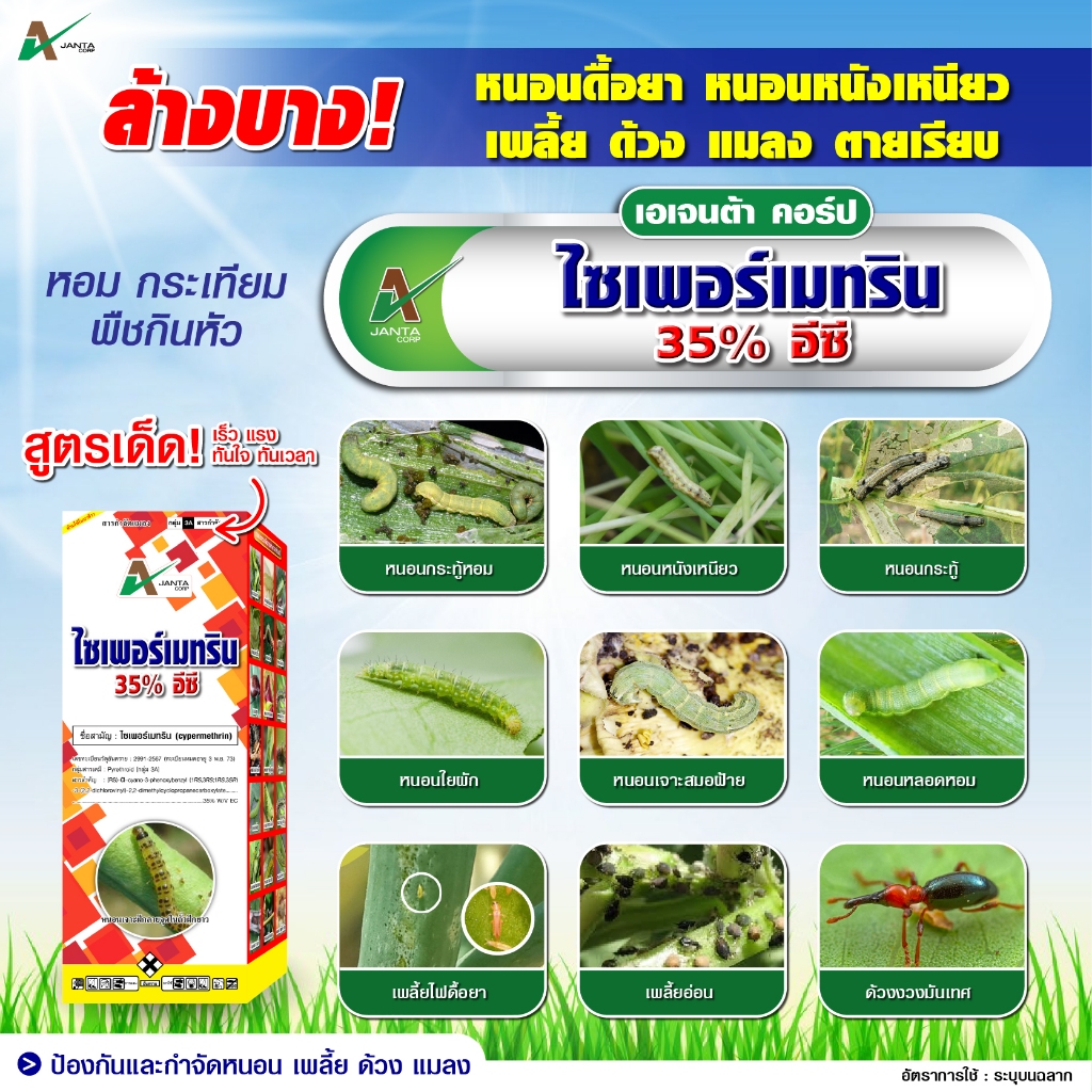 ไซเพอร์เมทริน เอเจนต้า คอร์ป ยาน๊อค สารป้องกันกำจัดแมลง กำจัดเพลี้ย กำจัดไร กำจัดหนอน แมลงปีกแข็ง ด้วง (1 ลิตร) - รูปที่ 7