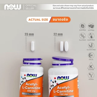 อะเซทิล แอล-คาร์นิทีน | Acetyl L-Carnitine 500 MG [Capsules] by NOW FOODS | Authentic Made in USA