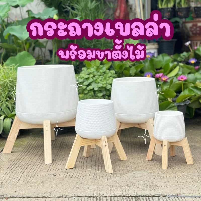 กระถางเบลล่าสีขาว สีดำ พร้อมขาตั้งไม้ ขนาด5-12 นิ้ว