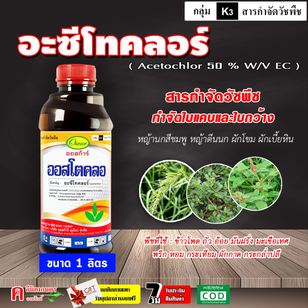 ออสโตคลอ ( 1 ลิตร ) อะเซโทคลอร์ อะซีโทคลอร์ ใช้คุมและกำจัดวัชพืช ใบกว้างและใบแคบ หญ้าต้นติด หญ้าดอกขาว หญ้าปากควาย