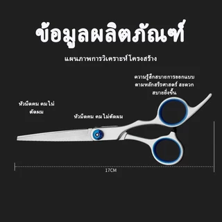 CTUHAO กรรไกรตัดผม กรรไกรตัดนิ้ว กรรไกรตัดแบน กรรไกรตัดผม กรรไกรตัดผมสแตนเลส อุปกรณ์ตัดผม ชุดกรรไกรตัดผมสแตนเลส