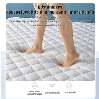 Goody ที่นอนน้ำยางธรรมชาติ ที่นอนหอพักขนาด 3/3.5/5/6ฟุต ที่นอนโฟมที่ยอดเยี่ยม Topper Mattress