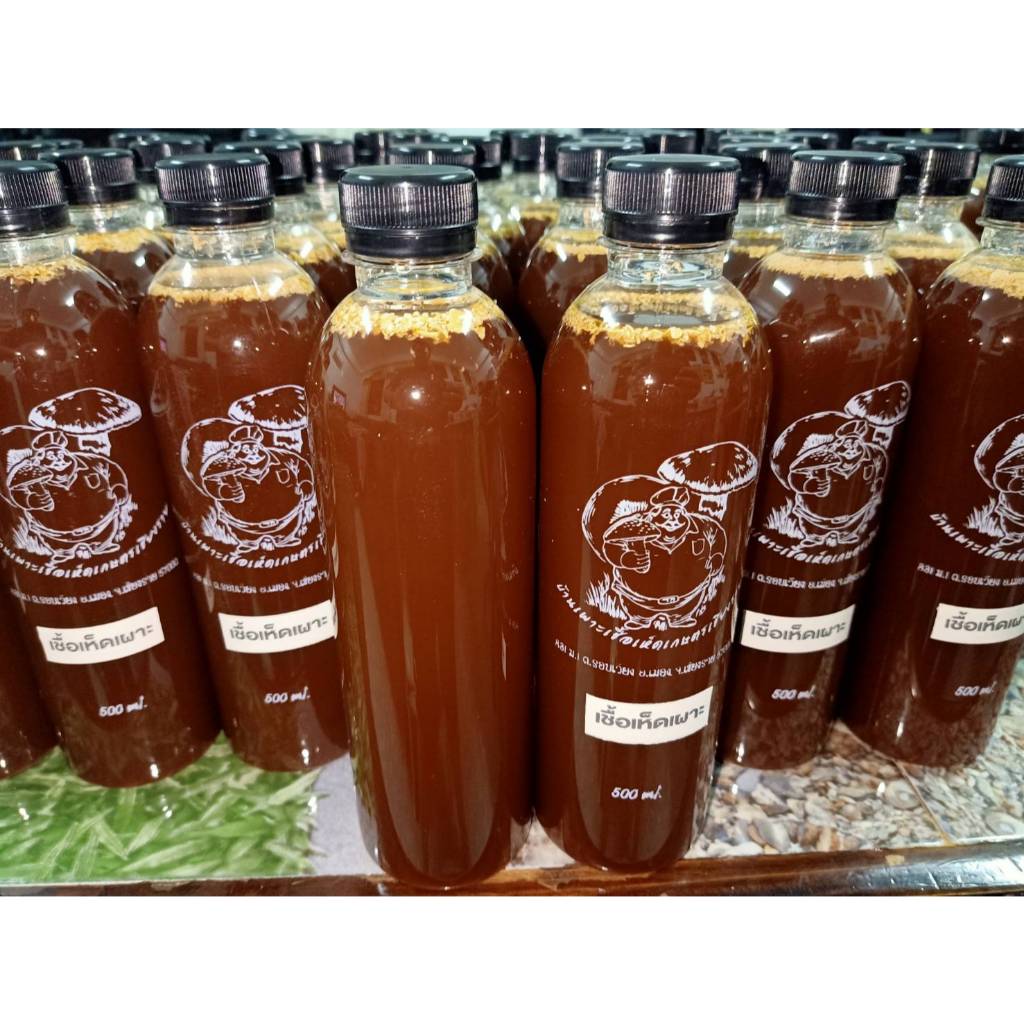 เชื้อเห็ดเผาะ/เห็ดถอบ (หนัง) แพ๊คคู่ จำนวน 2 ขวด  (ขนาด 500 ML.)