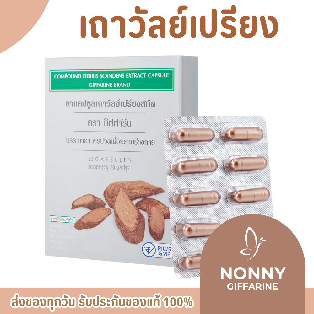 เถาวัลย์เปรียงสกัด กิฟฟารีน ยาแผนโบราณ ยาสามัญประจำบ้าน Giffarine