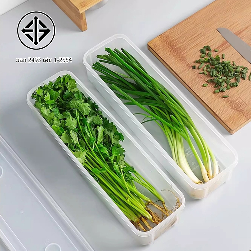 กล่องถนอมอาหาร กล่องเก็บอาหารในตู้เย็น ทำจากวัสดุ PP กล่องเก็บผักชี ต้นหอม คงความสดใหม่ของอาหาร