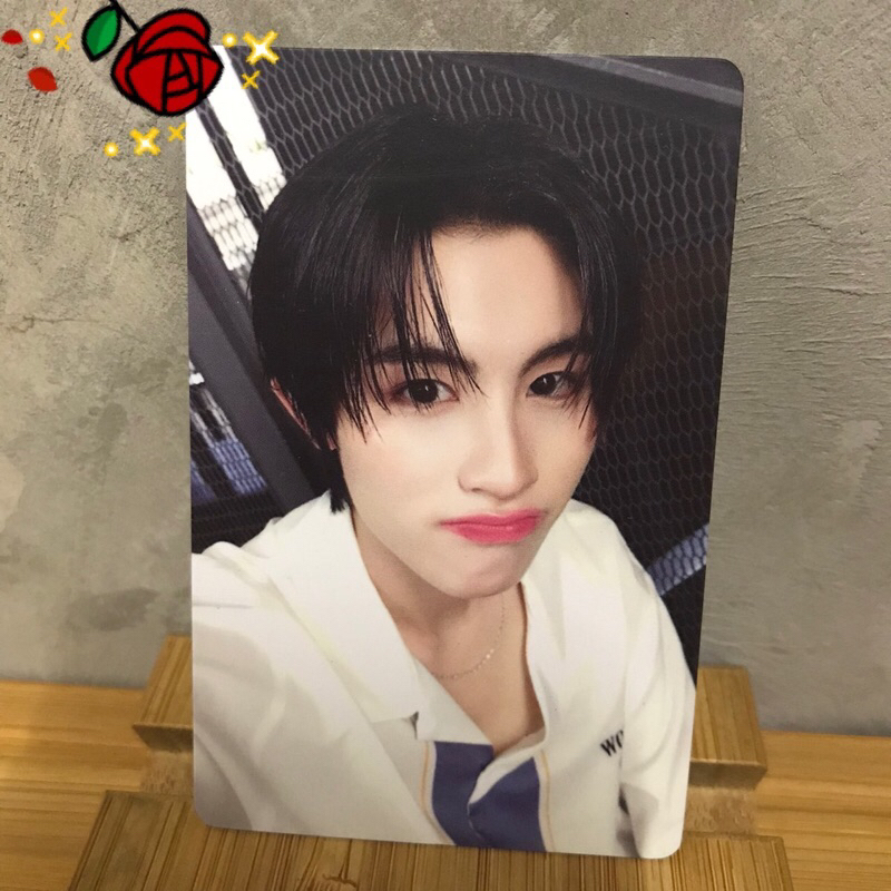 BUS 1st Anniversary Photocard AA VER C