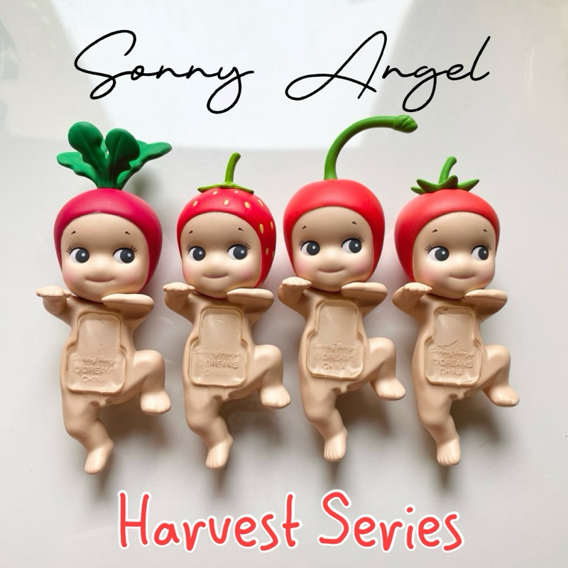 [พร้อมส่ง 📤] ของแท้💯 Sonny Angel Hippers • Harvest 🍒