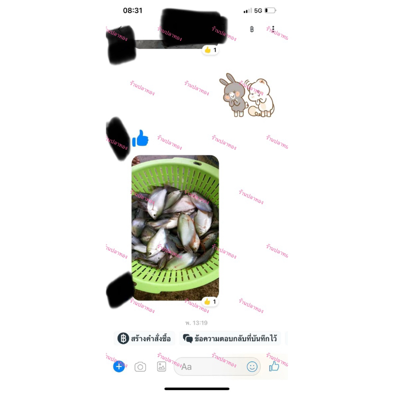 แหเอ็นปอนด์ ติดลูกขึ้นเพลาพร้อมใช้ (เอ็นใหญ่) เอ็นเบอร์ 40 (ตา 5 ซ.) มียาว 8-12 ศอก - รูปที่ 3