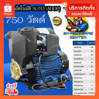 ปั๊มน้ำอัตโนมัติ AUTO เพลาสแตนเลส ใบพัดทองเหลือง กำลัง 750w ขนาด 1นิ้ว DAYUAN รุ่น ADGP-750