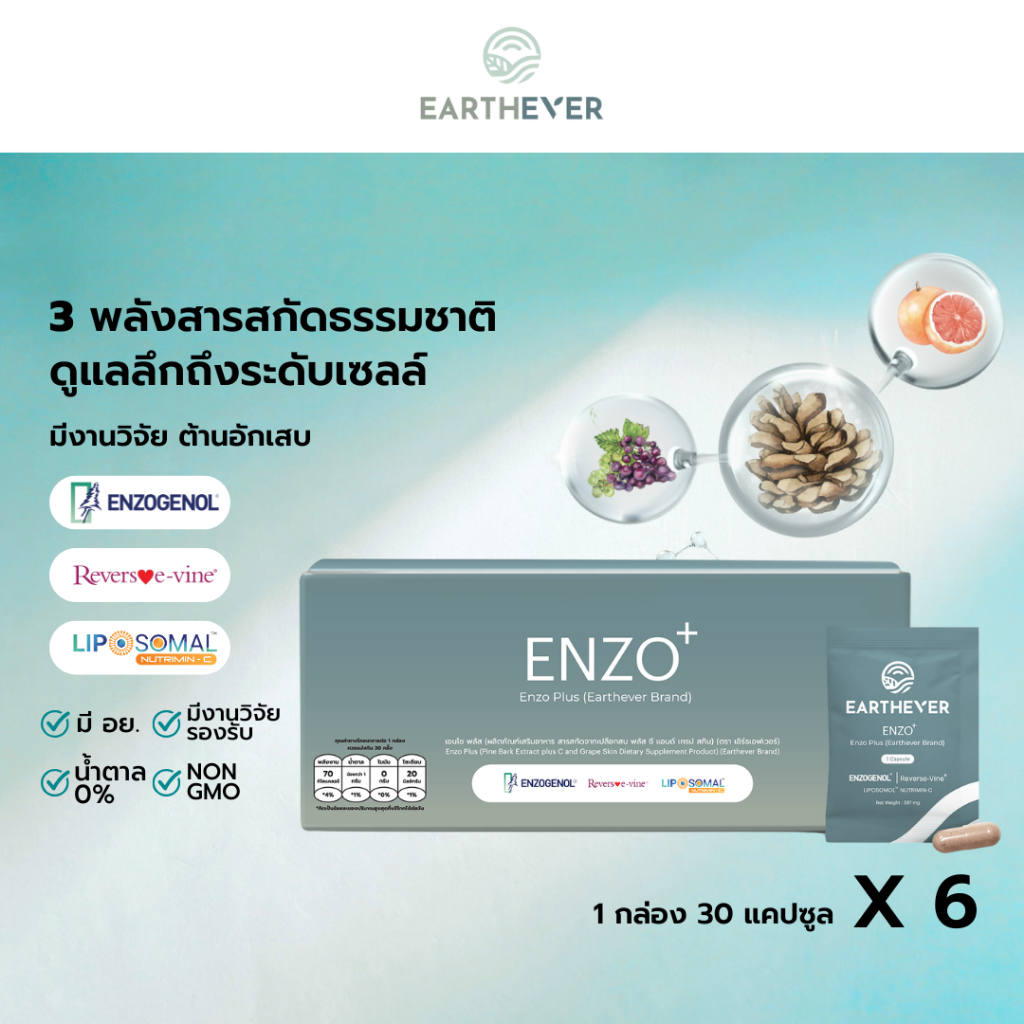 [SET 6 กล่อง x 30] EARTHEVER ENZO PLUS อาหารเสริมดูแลสุขภาพองค์รวมจากธรรมชาติ (1 กล่อง 30 แคปซูล × 6