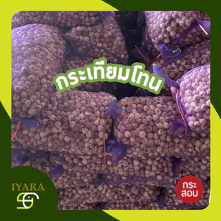 กระเทียมโทน กระเทียมโทนของใหม่ยกกระสอบ หัวสวยใหญ่ น้ำหนัก9-10กิโลกรัม
