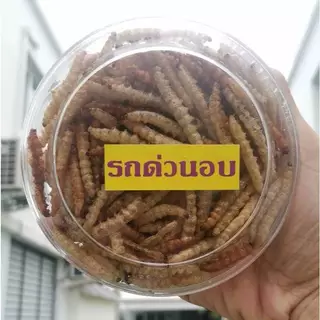 หนอนรถด่วน รถด่วนแบบอบ และ รถด่วนแบบทอด ของฝากจากเมืองเชียงใหม่ อร่อยถูกใจ รสชาติดั้งเดิม กลมกล่อม ขนาด 100 กรัม
