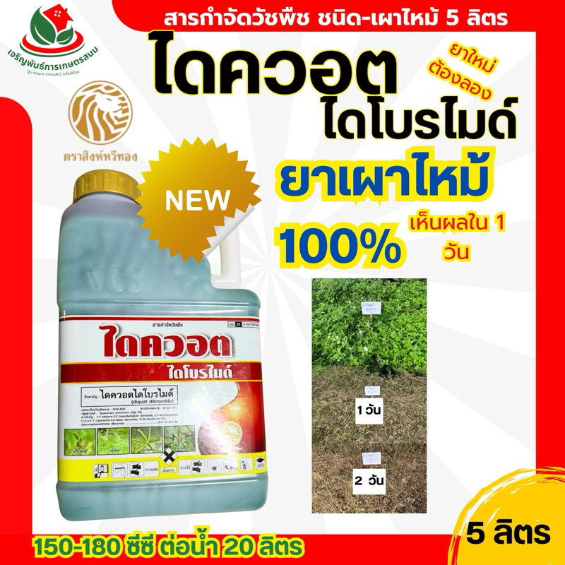 เผาไหม้100% ไดควอตไดคลอไรด์ 4 ลิตร ตราสิงห์หวีทอง ออกฤทธิ์เร็ว เห็นผลใน 3-5ชั่วโมง กำจัดวัลพืชทั้งใบแคบใบกว้าง