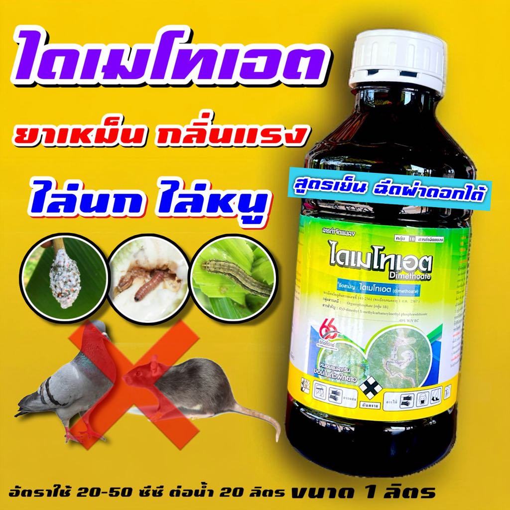 ไดเมโทเอท 40% EC 66 กำจัดหนอน แมลงวันทอง ไล่หนู มีกลิ่นฉุน ป้องกันกระรอก