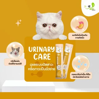 BiteCare ขนมแมวเลีย 1กล่อง คละสูตร