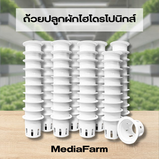 ถ้วยปลูกผักไฮโดรโปนิกส์ 20ใบ 50ใบ 100ใบ A+ แบบใช้ซ้ำ