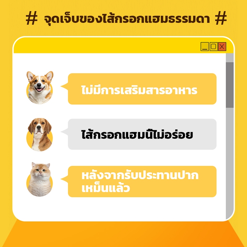 รูปภาพ 3