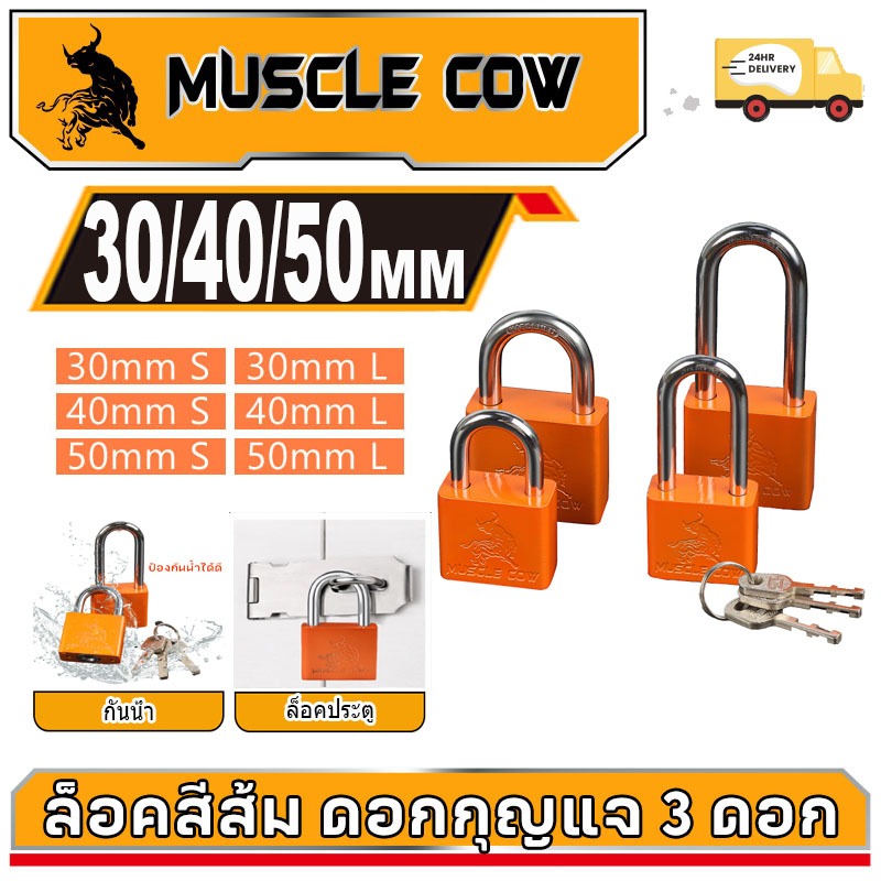 MUSCLE COW กุญแจทองเหลืองกันน้ำคุณภาพสูง ขนาด 30-50 มม. ของแท้ 100%