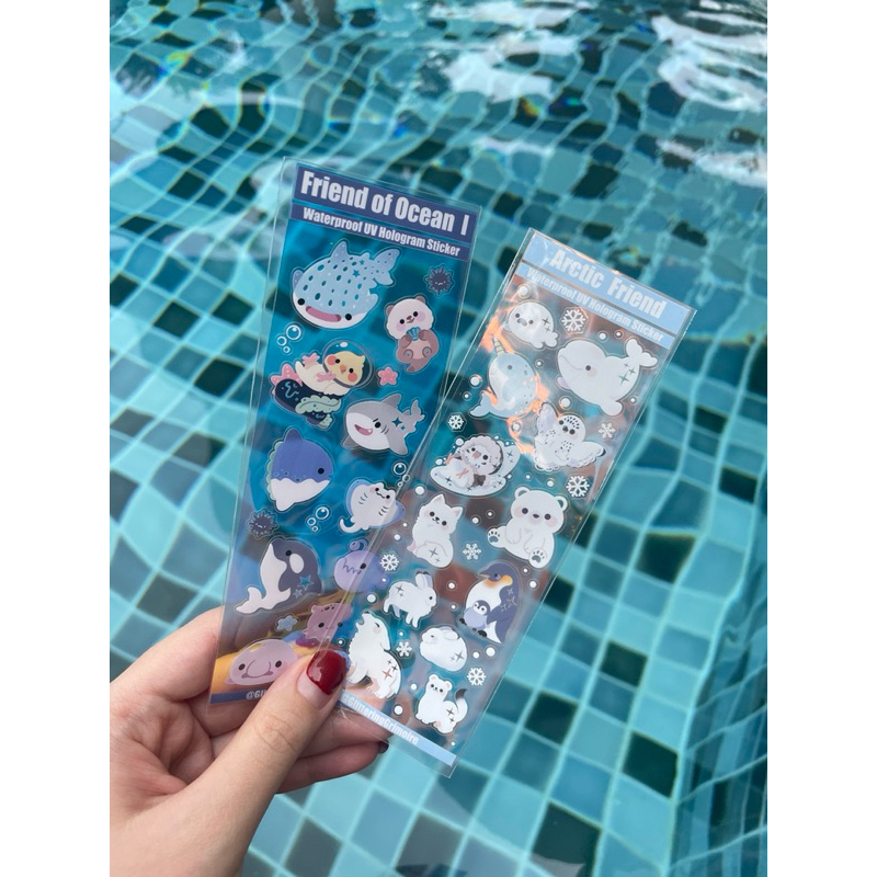 Sticker Arctic friend & Ocean friend