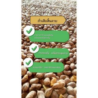 โปรคู่500กรัม(ถั่วลายเสือ500g.+ถั่วเสื้อลาย500g.)