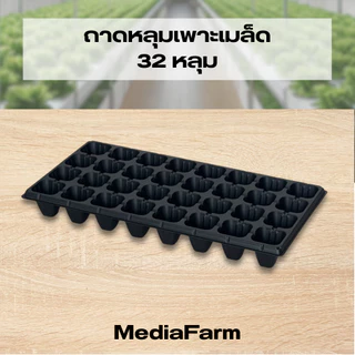 ถาดหลุมเพาะเมล็ด ถาดเพาะเมล็ด
