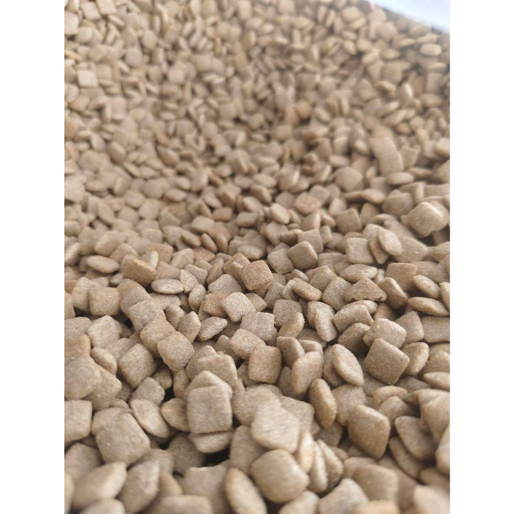 [แบ่งขาย 1 กก.] Kin-D อาหารสุนัขกินดี รสเนื้อ สูตรควบคุมความเค็ม สำหรับสุนัขทุกสายพันธ์ - รูปที่ 7