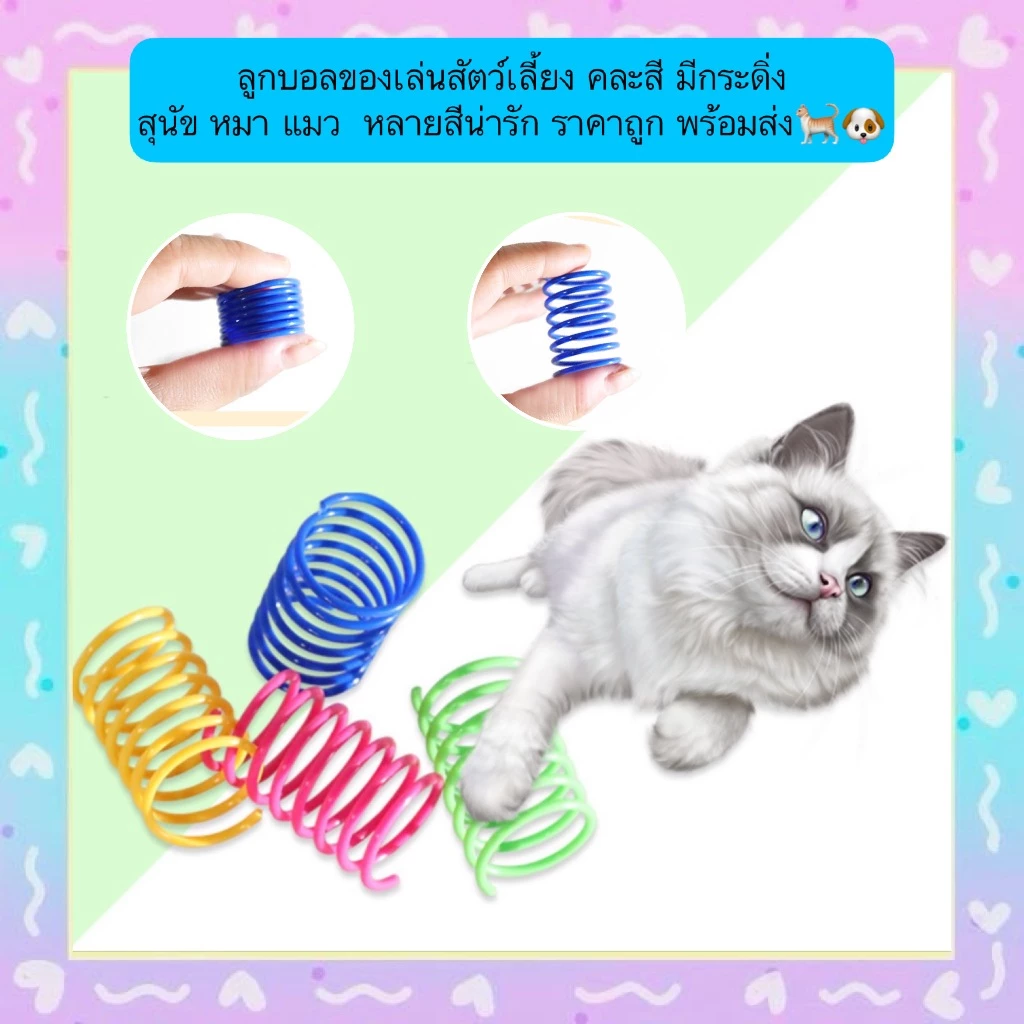 PP-635 สปริงพลาสติก ของเล่นแมว (คละสี) แพ็ค 4 ชิ้น ราคาถูก พร้อมส่ง! 🐱✨