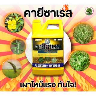 คายีซาเรส ขนาด 4 ลิตร แกลลอนเหลือง กลูโฟซิเนต-แอมโมเนียม 15% W/V SL ใช้กำจัดหญ้าใบแคบและใบกว้าง