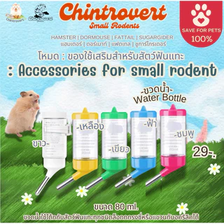 Chintrovert ✨| Accessories for small rodents รวมไอเทมเด็ดสำหรับสัตว์ฟันแทะ (หน้า1) | แฮมเตอร์ แฟตเทล ดอร์เมาท์ ชูการ์