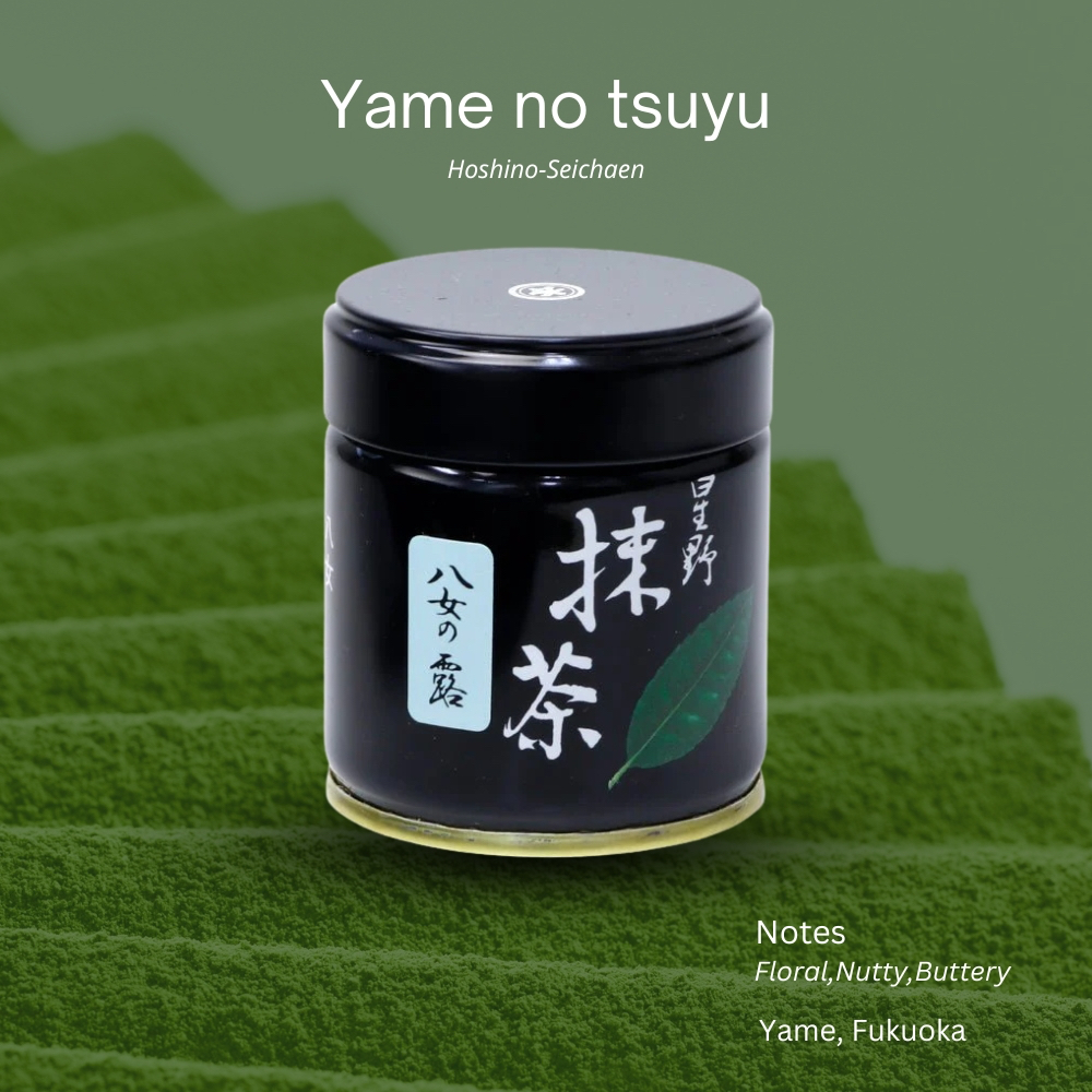(พร้อมส่ง) "Yame no tsuyu" จาก Hoshino-Seichaen