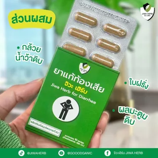 ยาแก้ท้องเสีย ปวดท้อง ท้องร่วง ถ่ายเหลว ยาสามัญประจำบ้าน ยาสมุนไพรแก้ท้องเสีย : จิวะเฮิร์บ