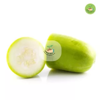 พิเศษ9บาท เมล็ดพันธุ์ฟักแฟง 20 เมล็ด