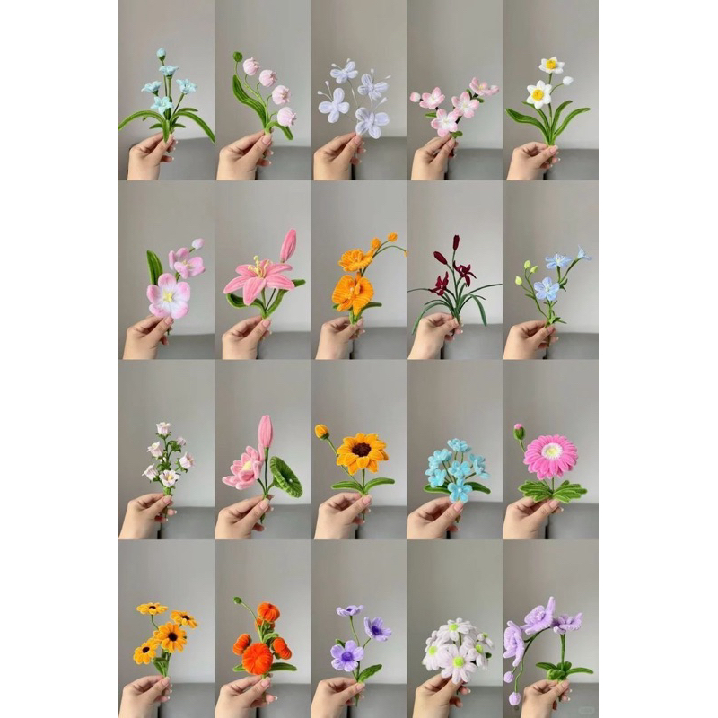 รูปภาพ 5