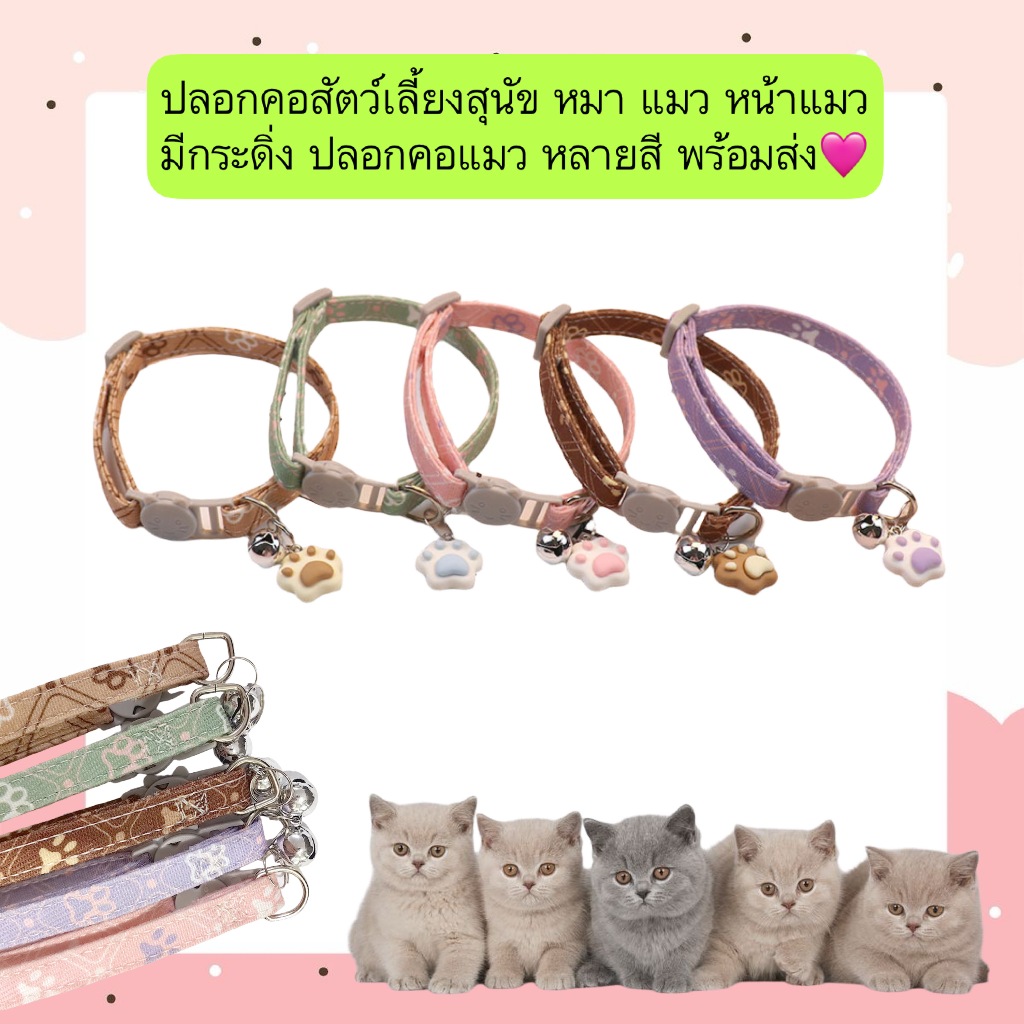 BN-549 🐾✨ ปลอกคอสัตว์เลี้ยง ลายหน้าแมวสุดน่ารัก พร้อมกระดิ่ง สำหรับสุนัข แมว ใส่แล้วดูคิวท์สุด ๆ 🐶🐱 ปลอกคอนุ่ม ใส่ง่าย ป