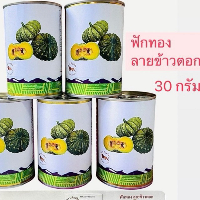 สิงโต เมล็ด ฟักทอง ลายข้าวตอก กระป๋อง (30 กรัม)