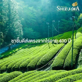 ICHITAN ชิซึโอกะ ชาเขียว สูตร No Sugar ไม่มีน้ำตาล กลิ่นมะลิ ขนาด 440 ml. 1 ลัง (24 ขวด) รวมจัดส่ง