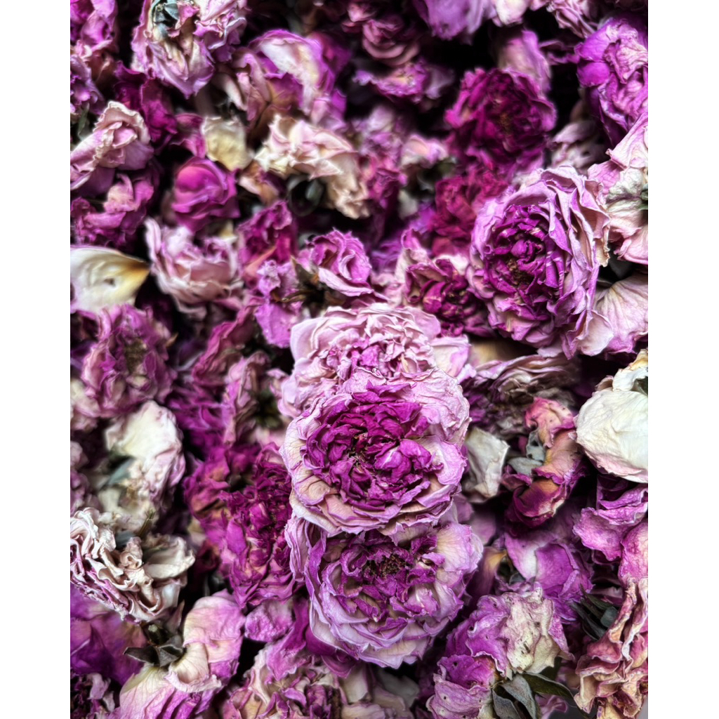 กลีบกุหลาบบิชอป ชากุหลาบอังกฤษบิชอป  กุหลาบอบแห้งDried  rose petals Bishop rose edible flowers organic