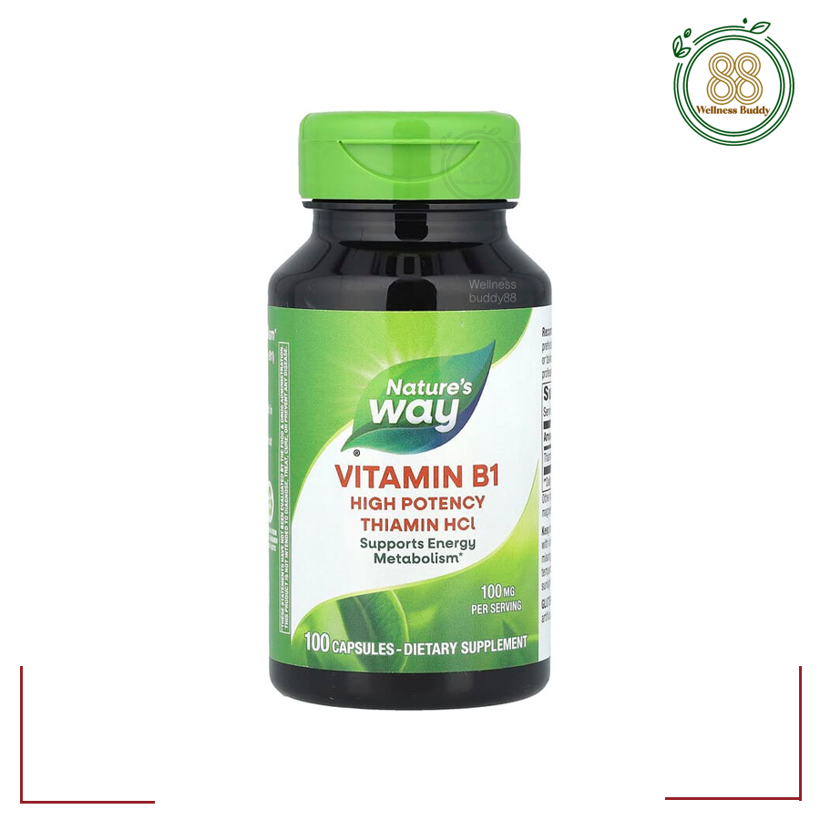 Nature's Way, Vitamin B1, 100 mg, 100 Capsules