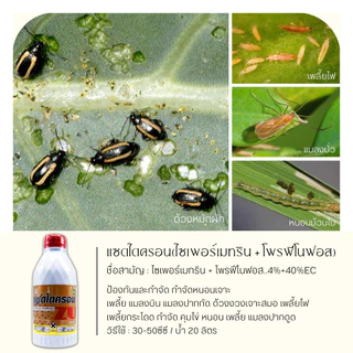 แซดไดครอน สูตรเย็น 1ลิตร (ไซเพอร์เมทริน + โพรฟีโนฟอส) กำจัดหนอนใยผัก หนอนเจาะ เพลี้ย