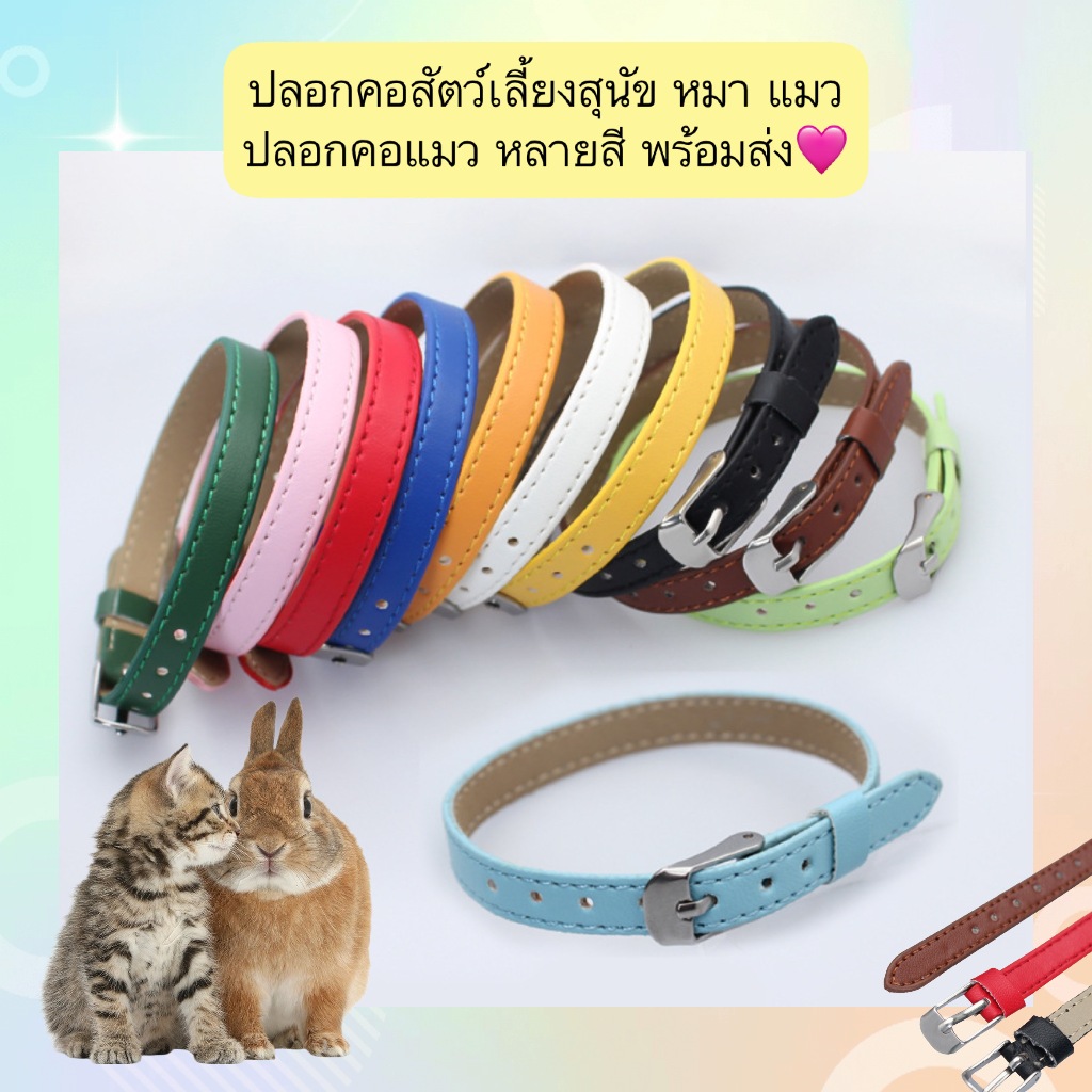 AL-545 ปลอกคอสัตว์เลี้ยงสุนัข หมา แมว  ปลอกคอแมว หลายสี พร้อมส่ง