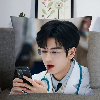 พร้อมส่ง 💗 หมอน จางหลิงเฮ่อ นุ่มฟู น่ากอด หมอน + ปลอก แถมโฟโต้การ์ดค่ะ