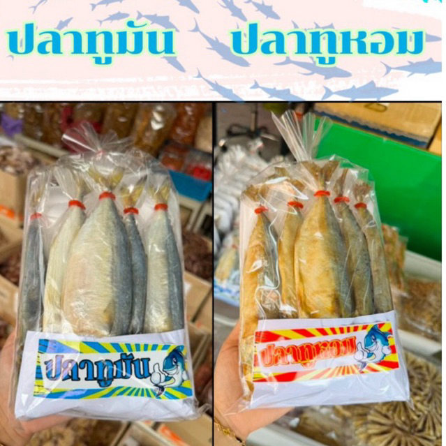 (1แพ็ค)ปลาทูมัน ปลาทูหอม แพ็ค 5 ตัว #ปลาทู #ของฝากแม่กลอง