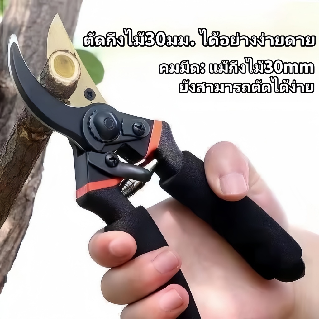 กรรไกรตัดกิ่งไม้ ที่มีคุณภาพสูง SK5ประเทศเยอรมนี ดอกไม้ เครื่องมือจัดทำสวน แท้ กรรไกรตัดกิ่ง คม ทน