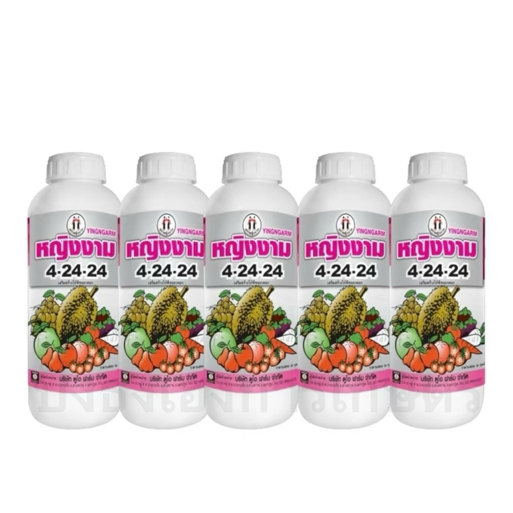4-24-24 1 ลิตร 5 ขวด ตราหญิงงาม ช่วยสะสมอาหาร ช่วยสร้างตาดอก สร้างแป้ง สร้างน้ำตาล ช่วยขยายขนาดผล