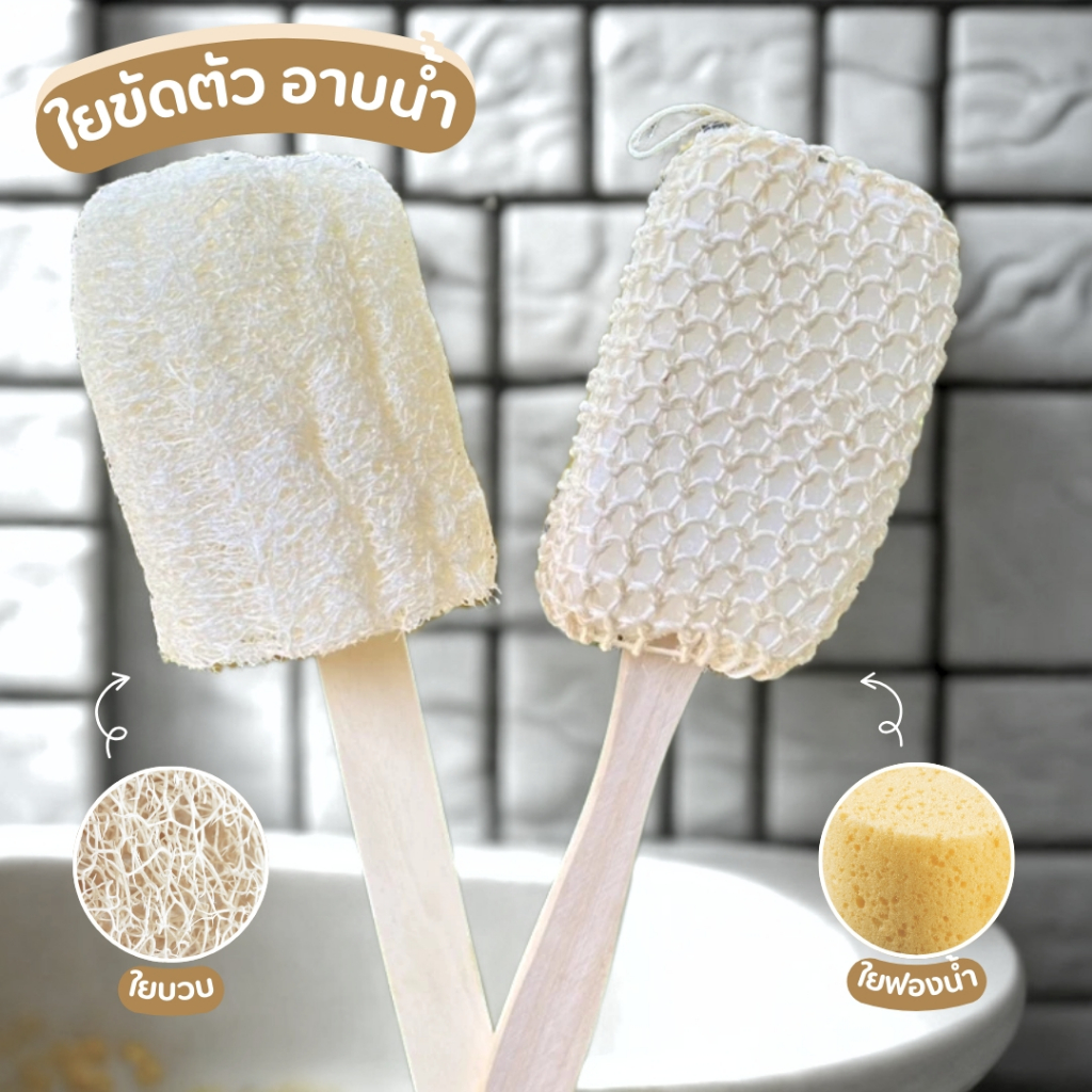 ใยขัดตัว ใยบวบด้ามไม้ ใยขัดตัวเชือกถัก ด้ามไม้ มี 2 ตัวเลือก ใช้ทำความสะอาดผิวกาย ผลัดเซลล์ผิว