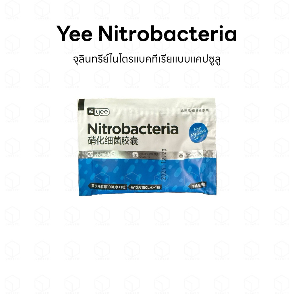 Yee Nitrobacteria แบคทีเรีย จุลินทรีย์ไนโตรแบคทีเรียแบบแคปซูล สำหรับตู้ปลา