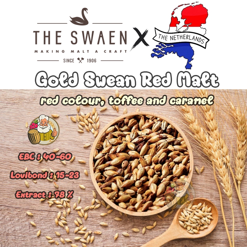 มอลต์ Red GOLD SWAEN© PURE CARA - CARAMELIZED MALTS THE SWAEN© Malt ทำเบียร์ เดอะ สวอน©