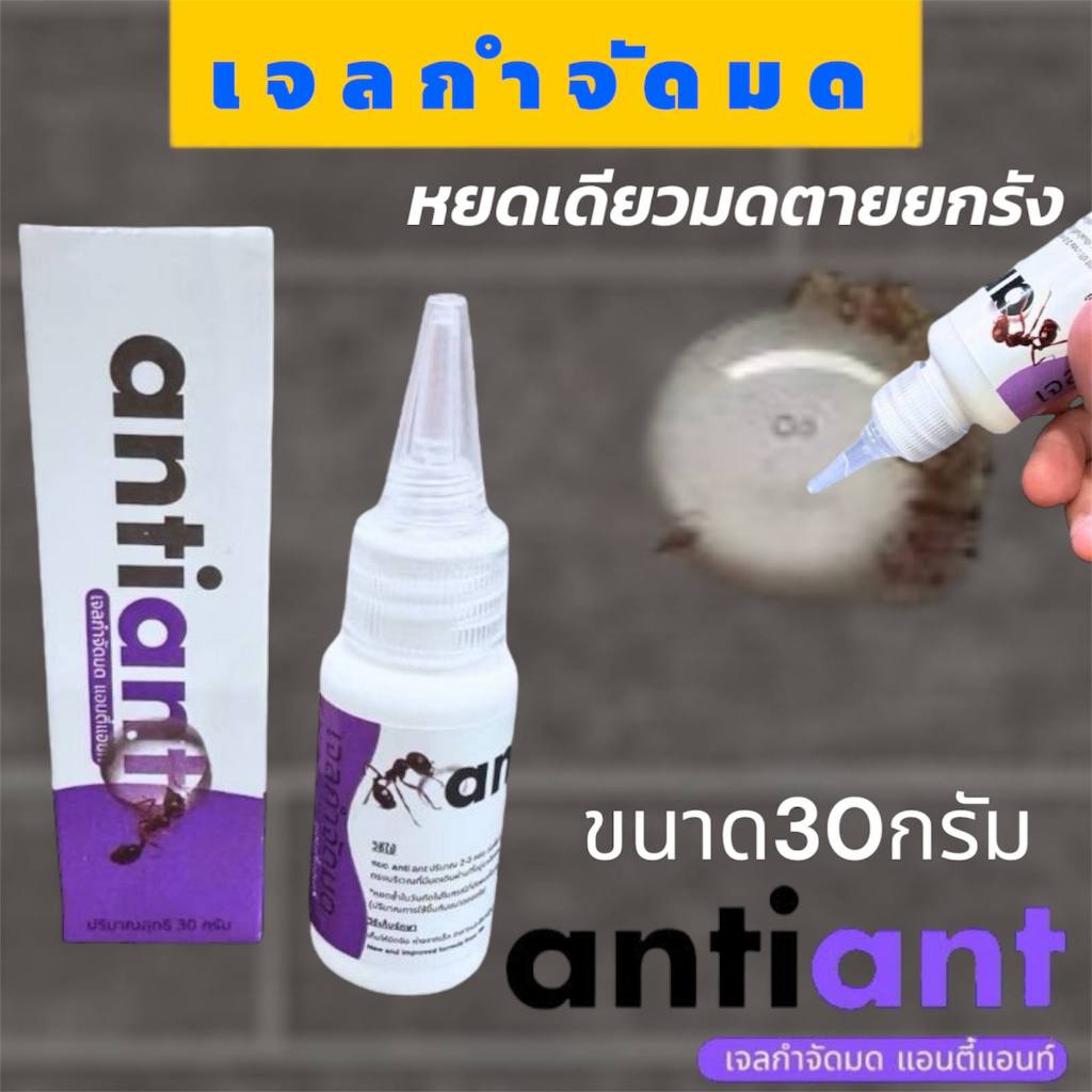 เจลกำจัดมด Anti Ant ขวดม่วง แอนตี้แอนท์ ขนาด30ML. ของใช้ในบ้าน สามารถหยดในห้องนอน ในรถ ห้องครัว  หยดเดียวยกรัง